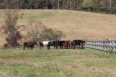 455 Hogan Farm Road, Seagrove, NC 27341 - Photo 67
