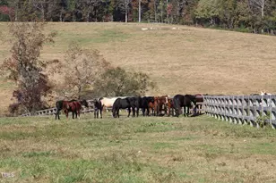 455 Hogan Farm Rd, Seagrove, NC 27341 - Photo 67