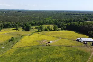 455 Hogan Farm Rd, Seagrove, NC 27341 - Photo 13