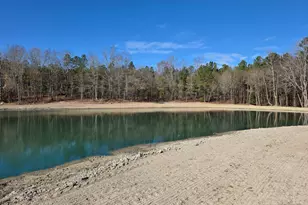 70 Water Willow Ln, Zebulon, NC 27597 - Photo 65