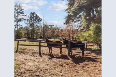 0 Cedar Lane Road, Sanford, NC 27332 - Photo 13