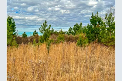 40 Acres Thomas Humphries Road, Roxboro, NC 27574 - Photo 1