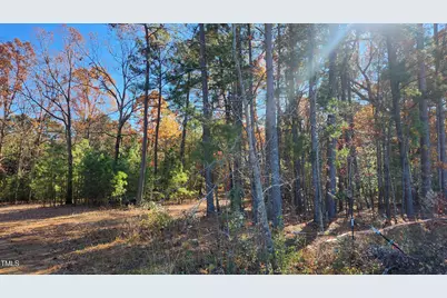 3909 Langston Circle, Apex, NC 27539 - Photo 3