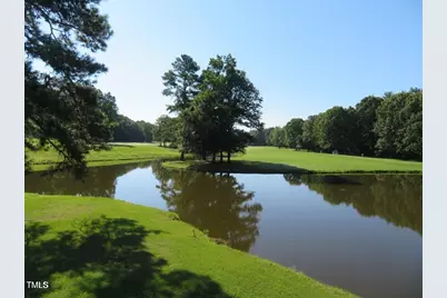 117 Deer Cross Drive, Louisburg, NC 27549 - Photo 51