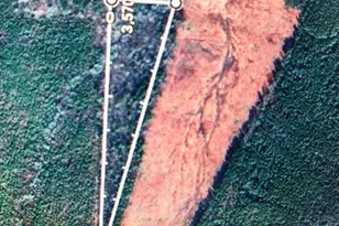 1080 Lickskillet Rd, Warrenton, NC 27589 - Photo 1