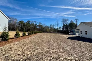 19 Covey Rise Wy, Lillington, NC 27546 - Photo 51