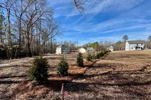 45 Covey Rise Wy, Lillington, NC 27546 - Photo 59