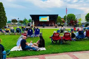 211 Drayton Hall Ln, Sanford, NC 27330 - Photo 33