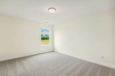 243 Kissington Way, Benson, NC 27504 - Photo 45