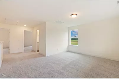 85 Kissington Way, Benson, NC 27504 - Photo 31