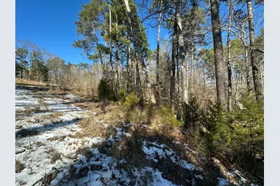 Tbd Quail Roost Drive, Semora, NC 27343 - Photo 25