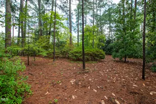 715 Powell Dr, Raleigh, NC 27606 - Photo 57