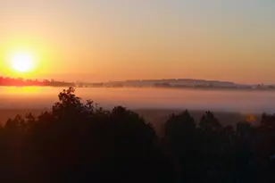 274 Westhampton Dr, Pittsboro, NC 27312 - Photo 7