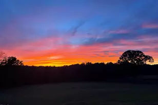 14425 Nc-96 Hwy N, Zebulon, NC 27597 - Photo 91