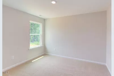 37 Baird Cove Lane, Angier, NC 27501 - Photo 35