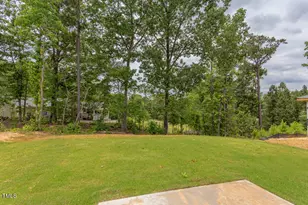 37 Baird Cv Ln, Angier, NC 27501 - Photo 41