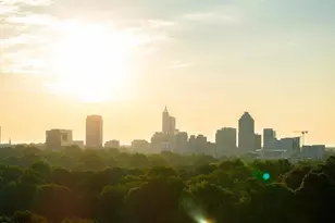 821 Hanbury Wy, Raleigh, NC 27607 - Photo 39