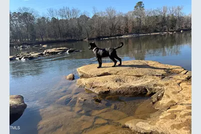 196 Paces Mill Trail, Pittsboro, NC 27312 - Photo 45