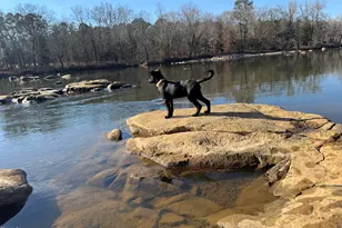 196 Paces Mill Trail, Pittsboro, NC 27312 - Photo 45