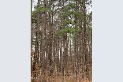 1822 Ruin Creek Road, Henderson, NC 27537 - Photo 3