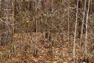 1822 Ruin Creek Rd, Henderson, NC 27537 - Photo 1