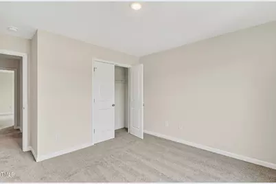 229 Palomo Place, Raeford, NC 28376 - Photo 33