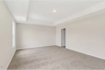 229 Palomo Place, Raeford, NC 28376 - Photo 35