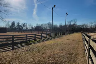 7027 Old 421 Rd, Liberty, NC 27298 - Photo 3