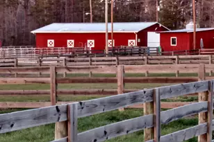 7027 Old 421 Rd, Liberty, NC 27298 - Photo 17