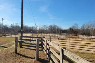 7027 Old 421 Rd, Liberty, NC 27298 - Photo 33