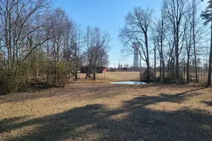 7027 Old 421 Rd, Liberty, NC 27298 - Photo 13