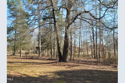 7027 Old 421 Road, Liberty, NC 27298 - Photo 5