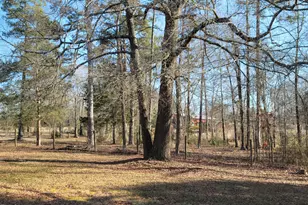 7027 Old 421 Rd, Liberty, NC 27298 - Photo 5