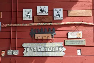 7027 Old 421 Rd, Liberty, NC 27298 - Photo 29