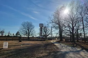 7027 Old 421 Rd, Liberty, NC 27298 - Photo 41