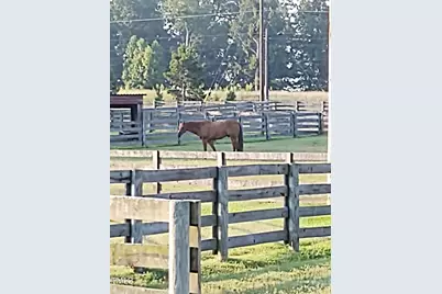 7027 Old 421 Road, Liberty, NC 27298 - Photo 69