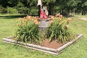 7027 Old 421 Rd, Liberty, NC 27298 - Photo 45