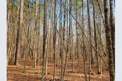 Tbd Siler City Snow Camp Road, Siler City, NC 27344 - Photo 29