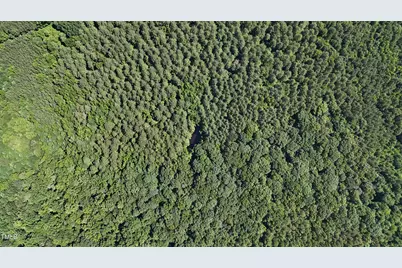 Tbd Siler City Snow Camp Road, Siler City, NC 27344 - Photo 5