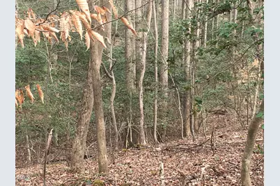 Tbd Siler City Snow Camp Road, Siler City, NC 27344 - Photo 33