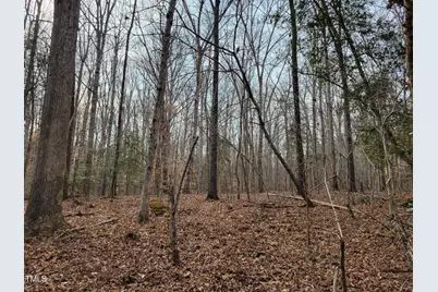 Tbd Siler City Snow Camp Road, Siler City, NC 27344 - Photo 31