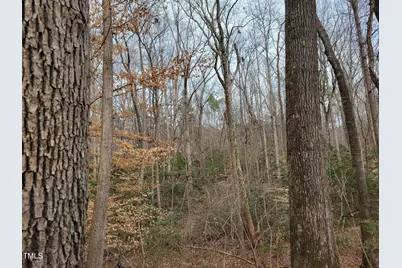 Tbd Siler City Snow Camp Road, Siler City, NC 27344 - Photo 45