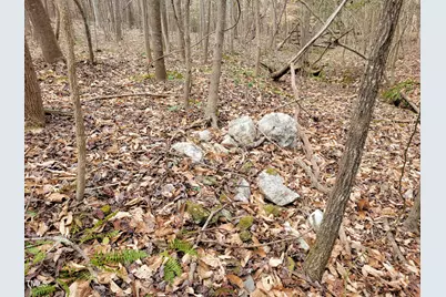 Tbd Siler City Snow Camp Road, Siler City, NC 27344 - Photo 37