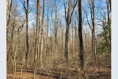Tbd Siler City Snow Camp Road, Siler City, NC 27344 - Photo 19