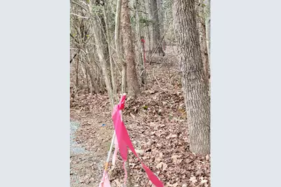 Tbd Siler City Snow Camp Road, Siler City, NC 27344 - Photo 51