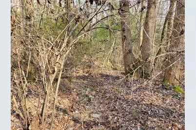 Tbd Siler City Snow Camp Road, Siler City, NC 27344 - Photo 41