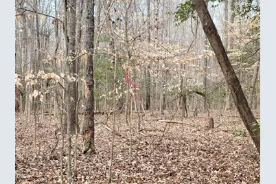 Tbd Siler City Snow Camp Road, Siler City, NC 27344 - Photo 47