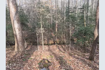 Tbd Siler City Snow Camp Road, Siler City, NC 27344 - Photo 35