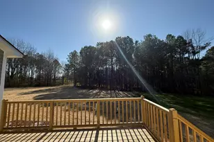 175 Magnolia Run Wy, Benson, NC 27504 - Photo 19