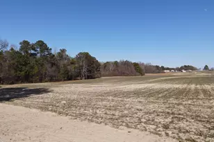 2113 NC-55, Coats, NC 27521 - Photo 49